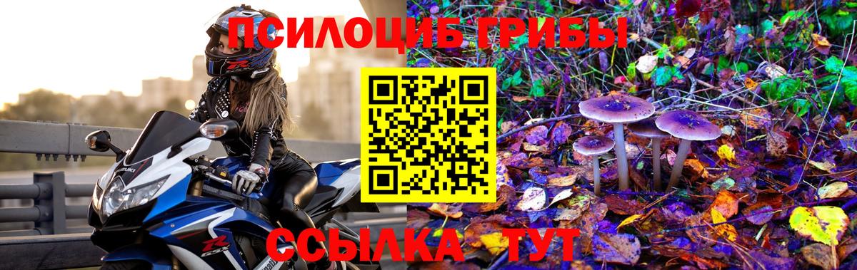 Галлюциногенные грибы прущие грибы  Галлюциногенные грибы прущие грибы  Валуйки  Вход с VPN 