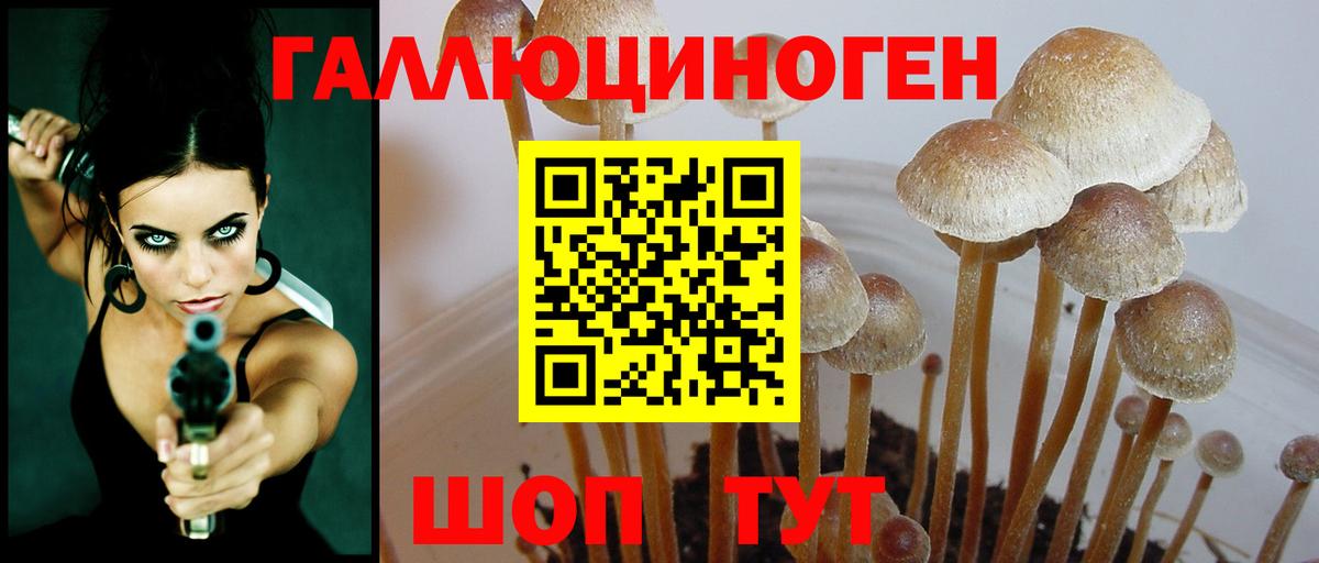 Галлюциногенные грибы MAGIC MUSHROOMS Валуйки
